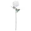 Cheap ✨ Snow Covered White Rose Stem by Ashland® 🔥 -Ashland Shop 10701034 1