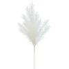 Best deal ✨ White Pampas Branch Stem by Ashland® ⭐ -Ashland Shop 10701035 1