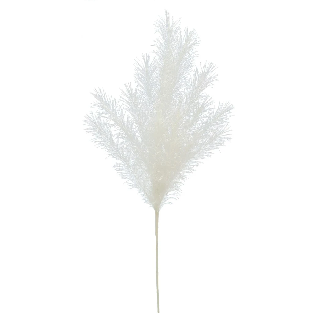 Best deal ✨ White Pampas Branch Stem by Ashland® ⭐ 5 Best deal ✨ White Pampas Branch Stem by Ashland® ⭐ - Image 3
