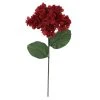 Best Sale 🌟 Iced Red Wild Hydrangea Stem by Ashland® 🥰 -Ashland Shop 10701046 1