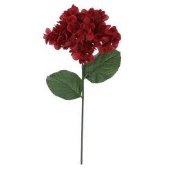 Best Sale 🌟 Iced Red Wild Hydrangea Stem by Ashland® 🥰