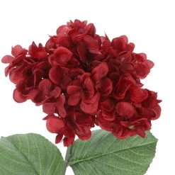 Best Sale 🌟 Iced Red Wild Hydrangea Stem by Ashland® 🥰 7 Best Sale 🌟 Iced Red Wild Hydrangea Stem by Ashland® 🥰 -Ashland Shop 10701046 3