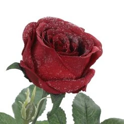 Cheap ⌛ Iced Red Rose Stem by Ashland® 🧨 -Ashland Shop 10701048 3