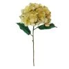 Coupon 😀 Gold Metallic Hydrangea Stem by Ashland® 😉 -Ashland Shop 10701049 1