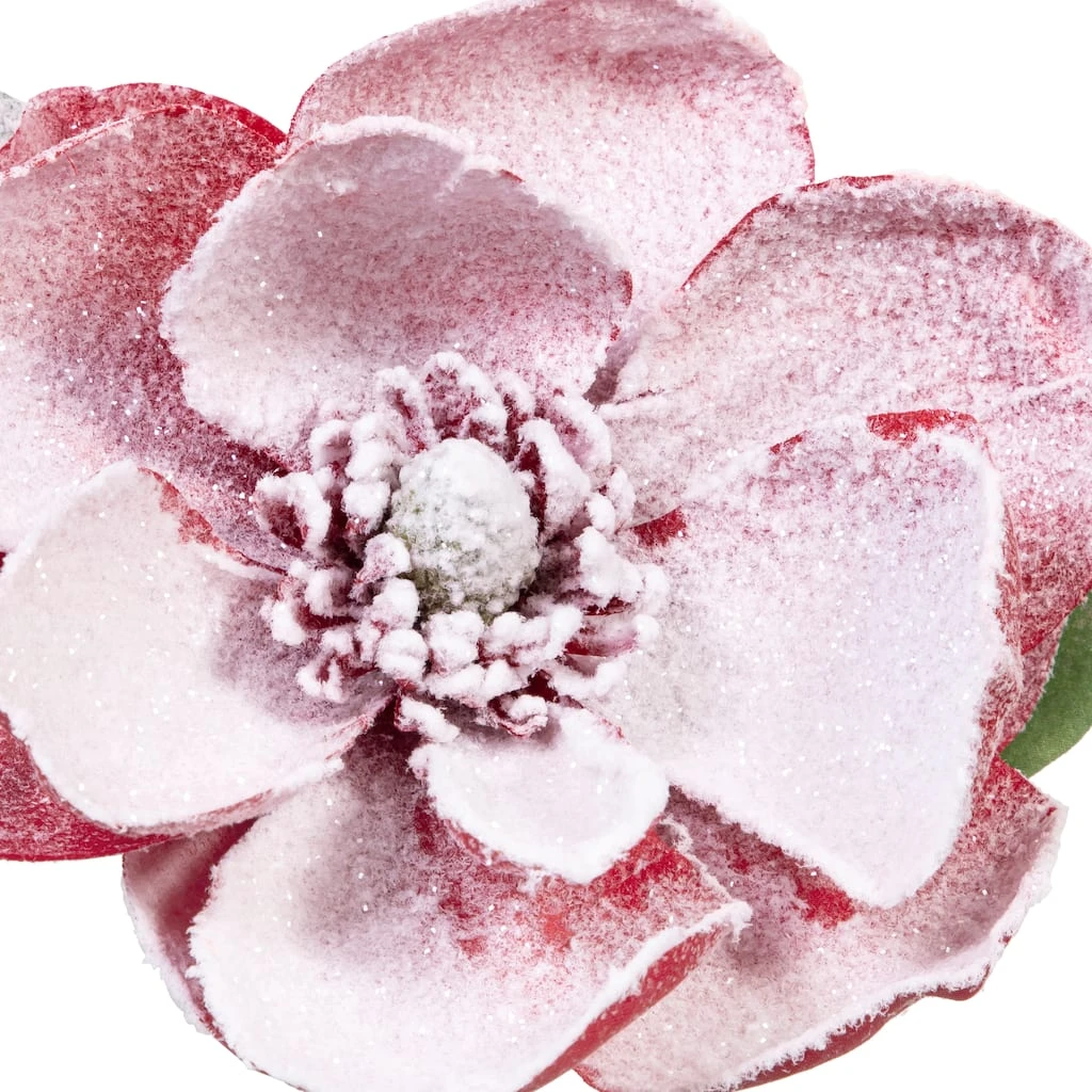 Buy 🥰 Red Snow Covered Magnolia Stem by Ashland® 👍 4 Buy 🥰 Red Snow Covered Magnolia Stem by Ashland® 👍 - Image 2