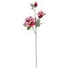 Best reviews of ✨ Red Snow Covered Garden Rose Stem by Ashland® ⌛ -Ashland Shop 10701057 1
