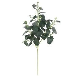 Cheap 🧨 Dark Green Eucalyptus Stem by Ashland® ⌛