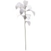 Cheap 🧨 White Velvet Magnolia Leaves Stem by Ashland® ❤️ -Ashland Shop 10701059 1