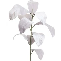 Cheap 🧨 White Velvet Magnolia Leaves Stem by Ashland® ❤️ -Ashland Shop 10701059 2