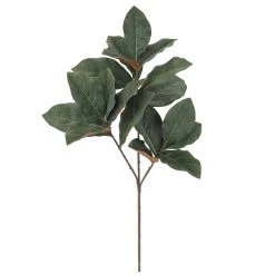 Best Pirce 🔔 Dark Green Magnolia Leaf Stem by Ashland® ⭐