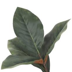 Best Pirce 🔔 Dark Green Magnolia Leaf Stem by Ashland® ⭐ -Ashland Shop 10701060 3