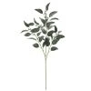 Best reviews of 🎁 Dark Green Iced Eucalyptus Leaf Stem by Ashland® 🎁 -Ashland Shop 10701061 1