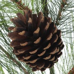 Flash Sale 💯 Pine Leaf & Pinecone Spray Stem by Ashland® 🧨 -Ashland Shop 10701275 2