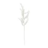 Budget 🛒 White Stem Pine by Ashland® 😀 -Ashland Shop 10701302 1