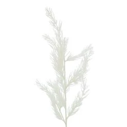 Budget 🛒 White Stem Pine by Ashland® 😀 -Ashland Shop 10701302 2