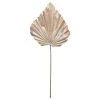 Deals 😍 Champagne Palm Leaf Stem by Ashland® 🎁 -Ashland Shop 10701306 1