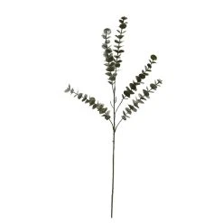 Buy ⭐ Snowy Eucalyptus Stem by Ashland® 😍