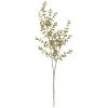 Deals 💯 Glittery Gold Eucalyptus Stem by Ashland® ⭐ -Ashland Shop 10701320 1