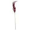 Deals ✔️ Red Amaranthus Stem by Ashland® 🤩 -Ashland Shop 10701321 1
