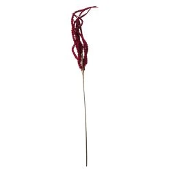 Deals ✔️ Red Amaranthus Stem by Ashland® 🤩