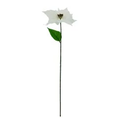 Brand new ⌛ White Poinsettia Stem by Ashland® 😉