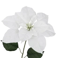 Hot Sale β Glittery White Poinsettia Stem by Ashland® π― 7 Hot Sale β Glittery White Poinsettia Stem by Ashland® π― -Ashland Shop 10701333 3