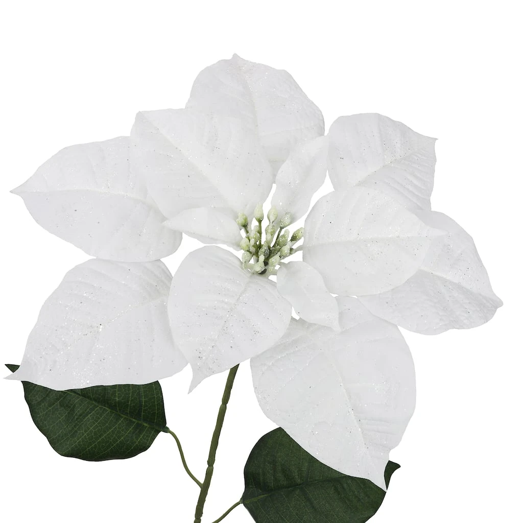 Hot Sale β Glittery White Poinsettia Stem by Ashland® π― 5 Hot Sale β Glittery White Poinsettia Stem by Ashland® π― - Image 3