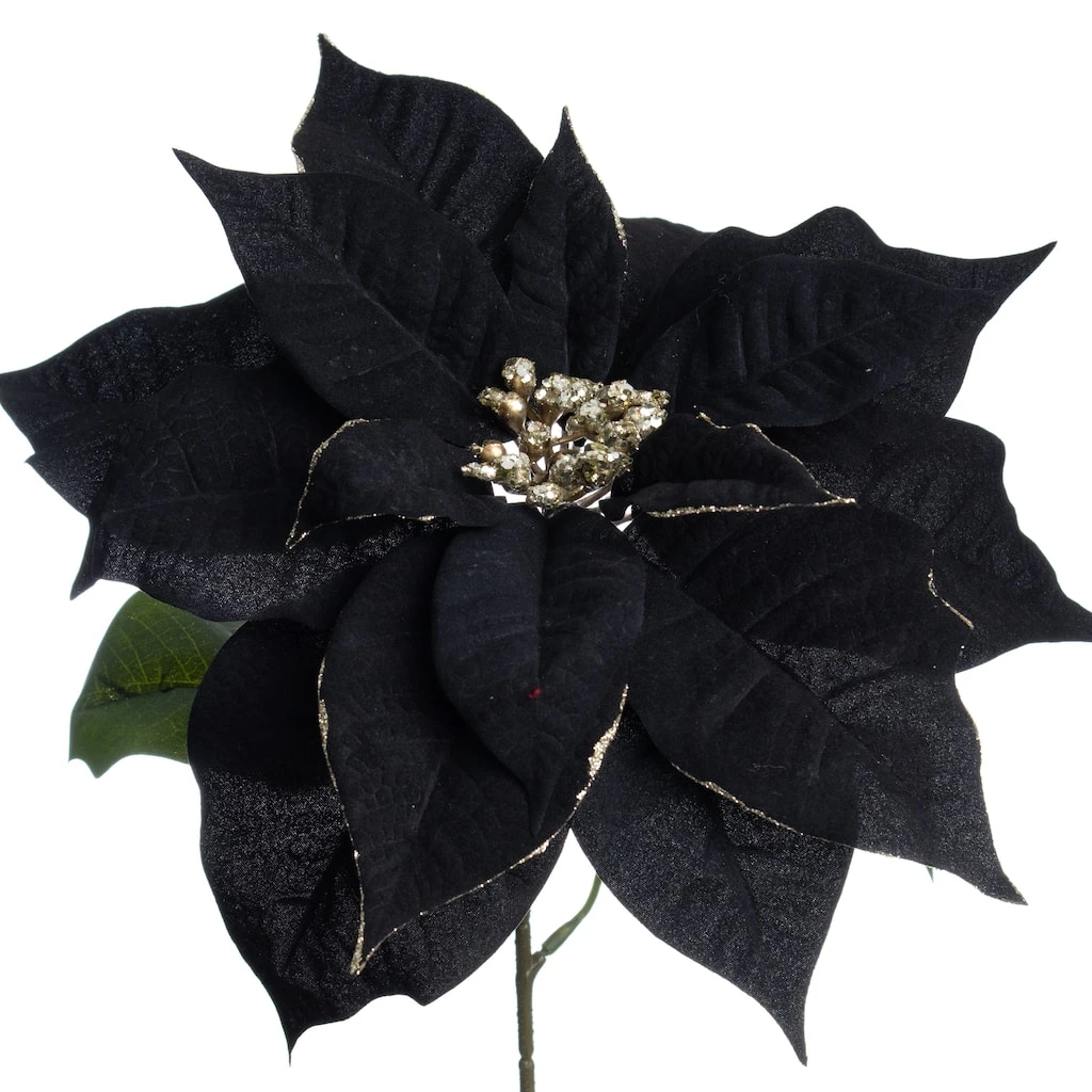 Budget π Black Poinsettia Stem by Ashland® π 4 Budget π Black Poinsettia Stem by Ashland® π - Image 2