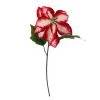 Cheapest ⭐ Red & White Poinsettia Stem by Ashland® 😀 -Ashland Shop 10701339 1
