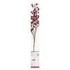 Best reviews of 🌟 Red Berries Twig With 16 Lights by Ashland® 👏 -Ashland Shop 10702492 1
