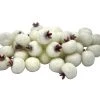 Wholesale ⌛ White Sugared Berries by Ashland® 🌟
