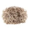 Cheap 🧨 Natural Spanish Moss by Ashland® 💯 1 Cheap 🧨 Natural Spanish Moss by Ashland® 💯 -Ashland Shop 10703334 2