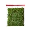 Promo ✨ Green Glitter Moss Mat by Ashland® ❤️ -Ashland Shop 10703337 1