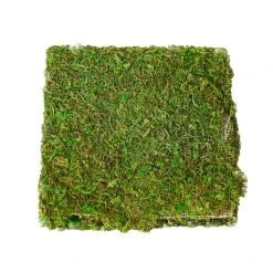 Promo ✨ Green Glitter Moss Mat by Ashland® ❤️ -Ashland Shop 10703337 2