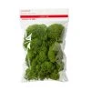 Buy ✔️ Green Reindeer Moss by Ashland® 🔥 -Ashland Shop 10703339 1