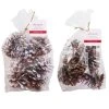 Brand new 🎁 Assorted Pinecone Mix by Ashland® ⌛ -Ashland Shop 10703682 1