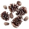Best Sale 🌟 Brown & Gold Glitter Pinecones by Ashland® 😍 -Ashland Shop 10703689 2