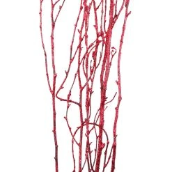 Best Sale ✨ Assorted Red Birch Branch by Ashland® ⭐ -Ashland Shop 10703836 2