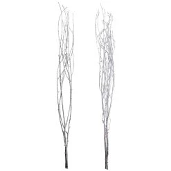 Best Sale 🧨 Assorted Silver Birch Branch by Ashland® 🔔