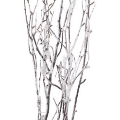 Discount ⭐ Assorted Snow Covered Birch Branch by Ashland® ⭐ -Ashland Shop 10703838 2
