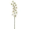 Deals 🥰 8 Pack: Cream Boat Orchid Stem by Ashland® 🥰 -Ashland Shop 230929
