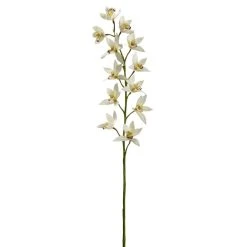 Deals 🥰 8 Pack: Cream Boat Orchid Stem by Ashland® 🥰