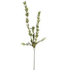 Flash Sale 😀 Huckleberry Leaf Spray by Ashland® ⭐ -Ashland Shop 292555