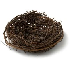 Discount ❤️ 24 Pack: 4" Round Nest by Ashland® ✔️ -Ashland Shop MP029916 21