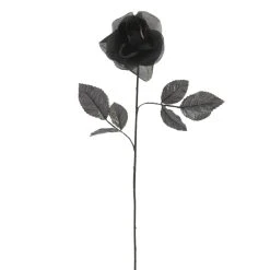 Flash Sale ❤️ 12 Pack: Black Open Rose Stem by Ashland™ ⌛