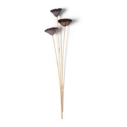 Deals ✨ 12 Pack: Natural Lotus Pods Stem by Ashland® ⌛ -Ashland Shop MP065712 21