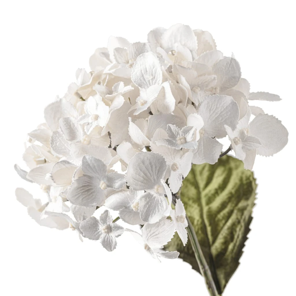 Wholesale ✔️ 12 Pack: Pearl Hydrangea Stem by Ashland® ⌛ 6 Wholesale ✔️ 12 Pack: Pearl Hydrangea Stem by Ashland® ⌛ - Image 4