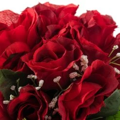 Best reviews of 🎁 12 Pack: Red Rose Bush Classic Traditions™ by Ashland® 🎁 -Ashland Shop MP128390 20