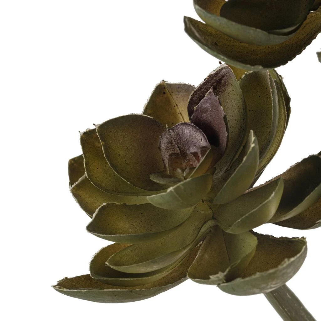 Budget ⌛ 12 Pack: Assorted Succulent Pick by Ashland® 🔔 4 Budget ⌛ 12 Pack: Assorted Succulent Pick by Ashland® 🔔 - Image 2