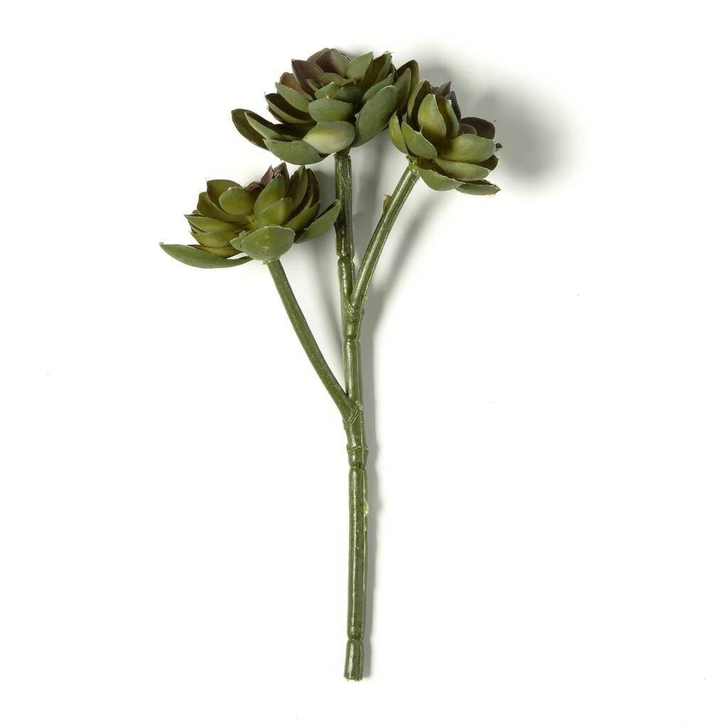 Budget ⌛ 12 Pack: Assorted Succulent Pick by Ashland® 🔔 5 Budget ⌛ 12 Pack: Assorted Succulent Pick by Ashland® 🔔 - Image 3